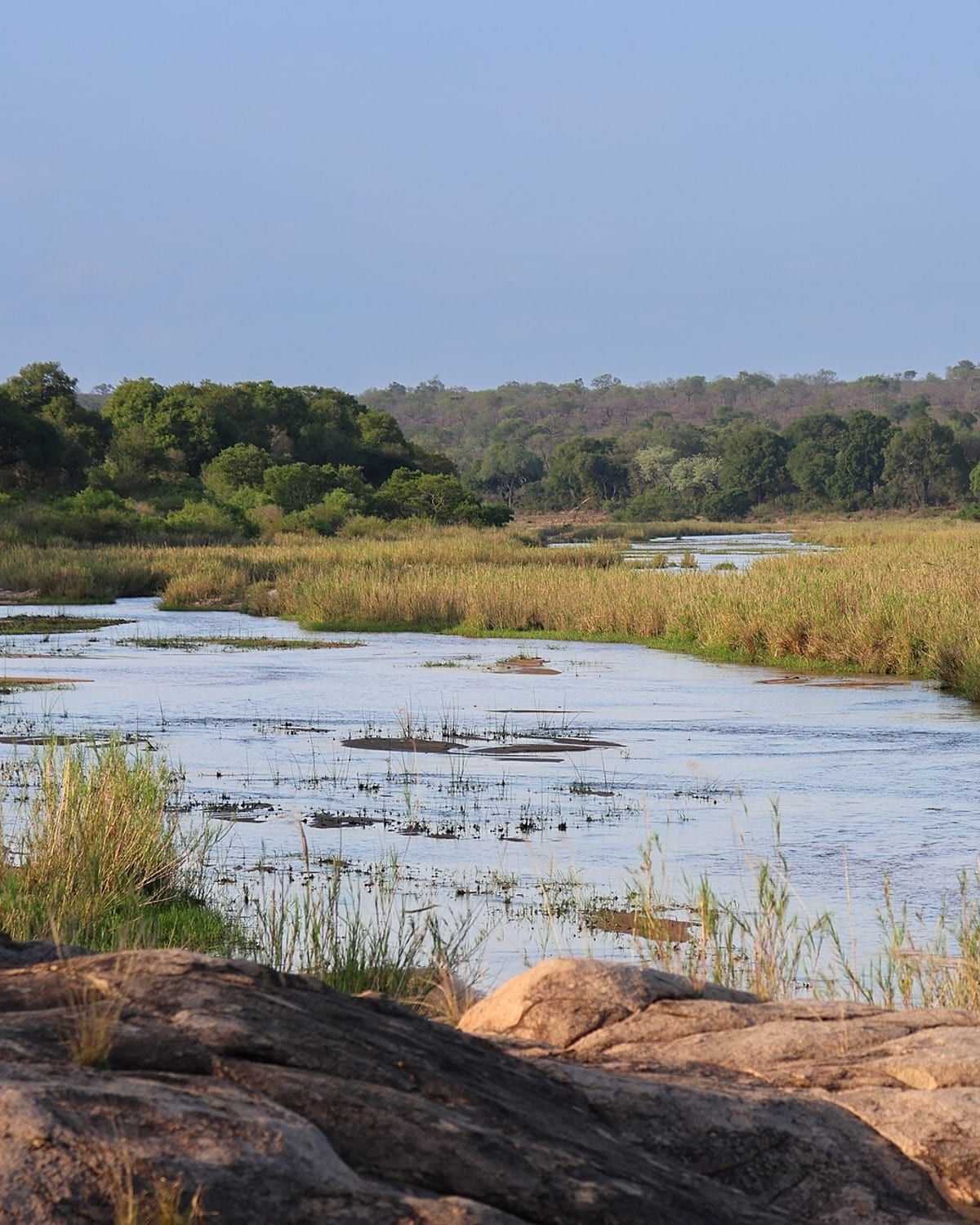 The Sand River running through the Sabi Sand Private Game Reserve, reed beds and rock along the bank. Photo by flowcomm, CC BY 2.0